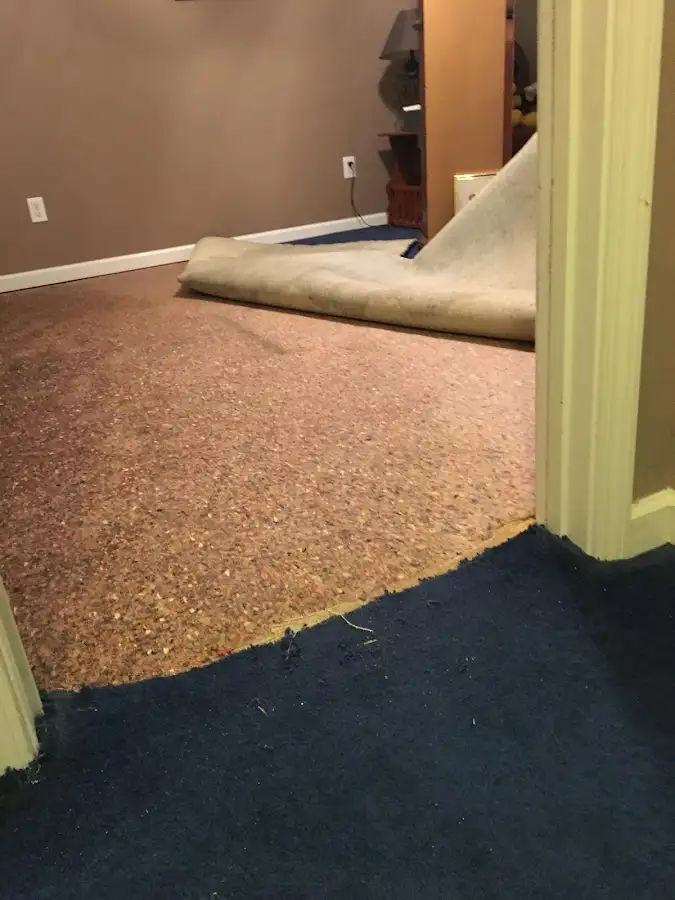 Carpet pad removal revealing water damage during Water Mitigation Services in Oberlin