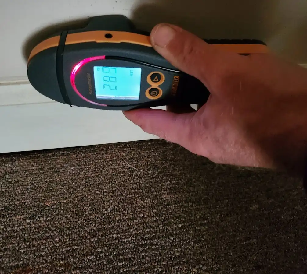 Moisture detection at baseboard during Sewage Cleanup & Sanitation in Oberlin